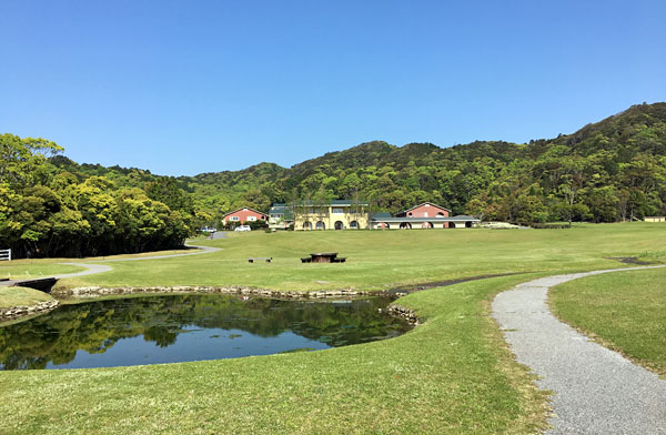 ブルーベリーヒル勝浦の敷地はとにかく広い