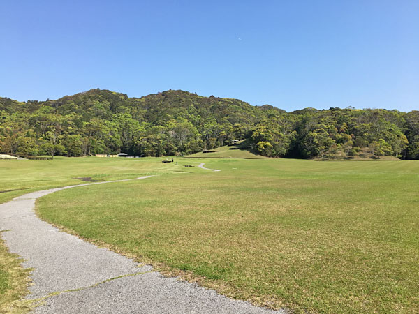 ブルーベリーヒル勝浦の敷地はとにかく広い