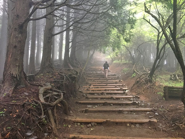 丹沢登山：駒止茶屋から堀山の家へ向かう