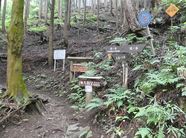 丹沢登山：大倉高原の家と塔ノ岳の分岐