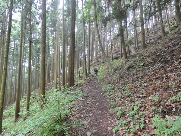 丹沢登山：大倉高原の家経由で塔ノ岳に向かう