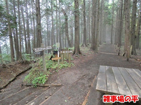 丹沢登山：雑事場ノ平の分岐