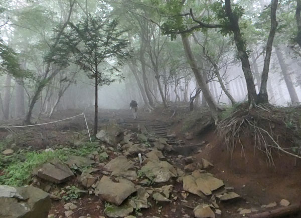 丹沢登山：見晴茶屋から駒止茶屋へ向かう