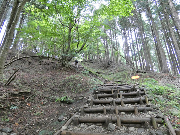 丹沢登山：見晴茶屋から駒止茶屋へ向かう