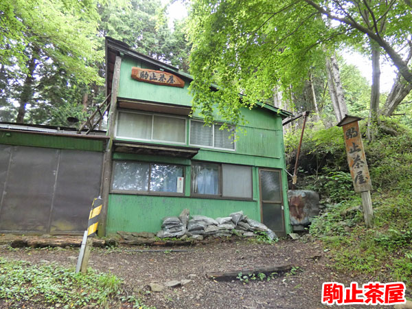 丹沢登山：駒止茶屋に到着