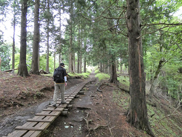 丹沢登山：駒止茶屋から堀山の家へ向かう