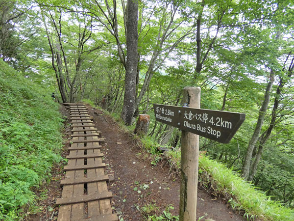 丹沢登山：駒止茶屋から堀山の家へ向かう