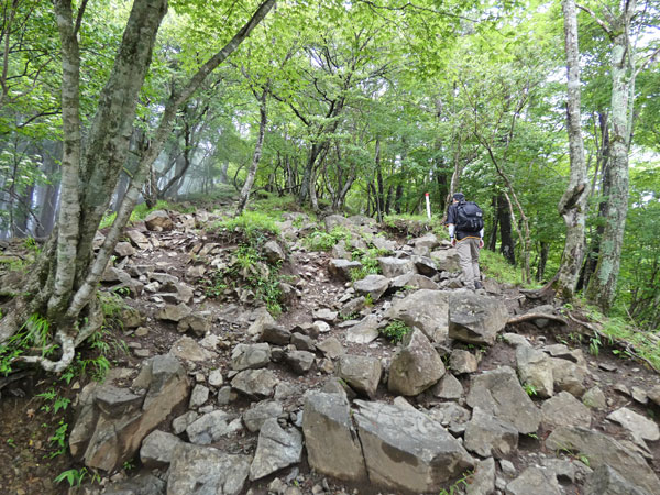 丹沢登山：堀山の家から花立山荘へ向かう