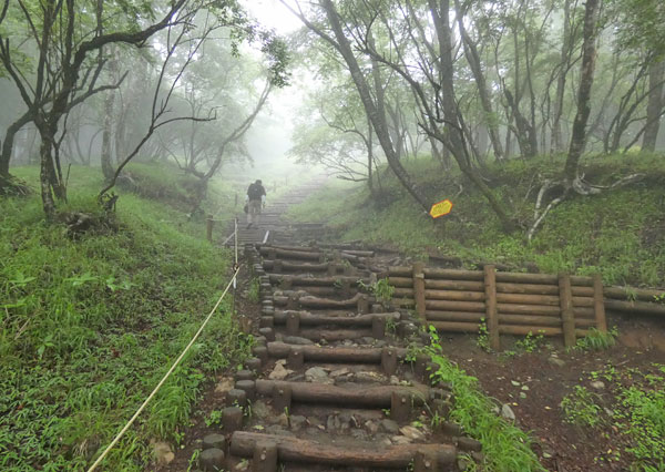 丹沢登山：堀山の家から花立山荘へ向かう