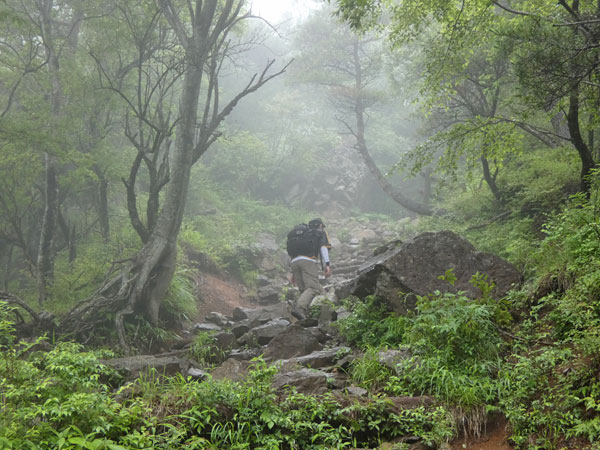 丹沢登山：堀山の家から花立山荘へ向かう