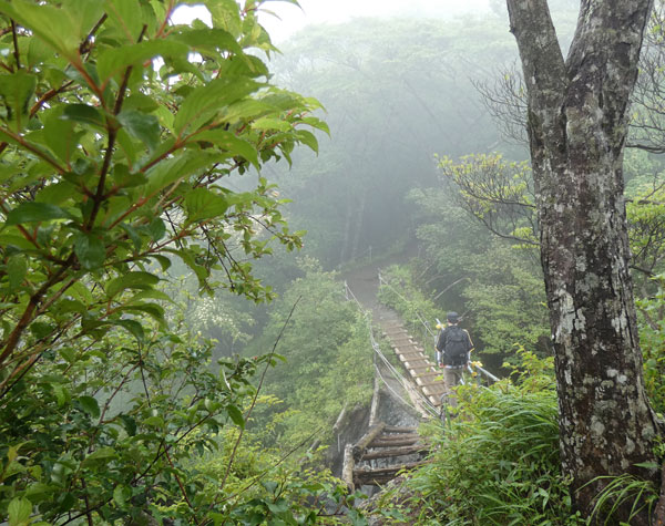 丹沢登山：花立山荘から塔ノ岳山頂へ向かう