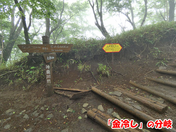 丹沢登山：金冷しの分岐