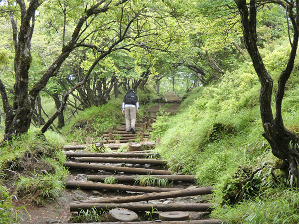 丹沢登山：金冷しの分岐から塔ノ岳山頂へ向かう最期の登り