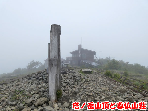 丹沢登山：塔ノ岳山頂と尊仏山荘