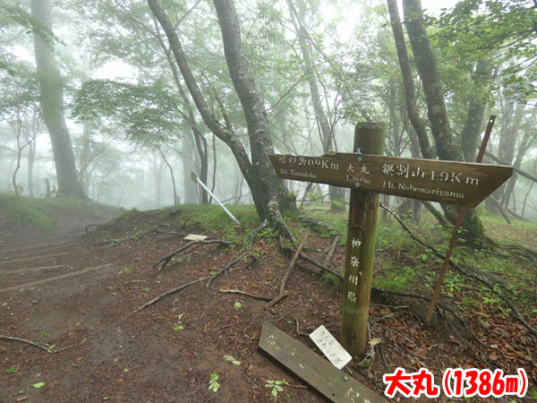 丹沢登山：大丸（1341m）