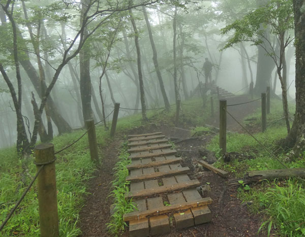 丹沢登山：塔ノ岳から鍋割山へ向かう