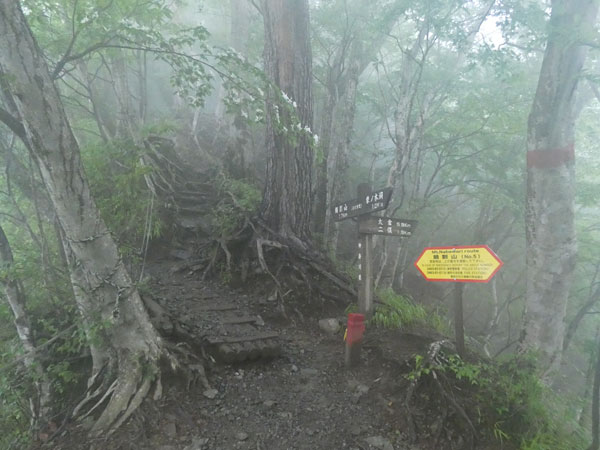 丹沢登山：後沢乗越