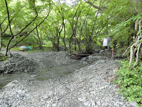 丹沢登山：丹沢緑の回廊から二俣へ向かう