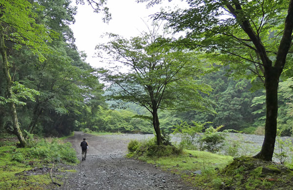 丹沢登山：丹沢緑の回廊から二俣へ向かう