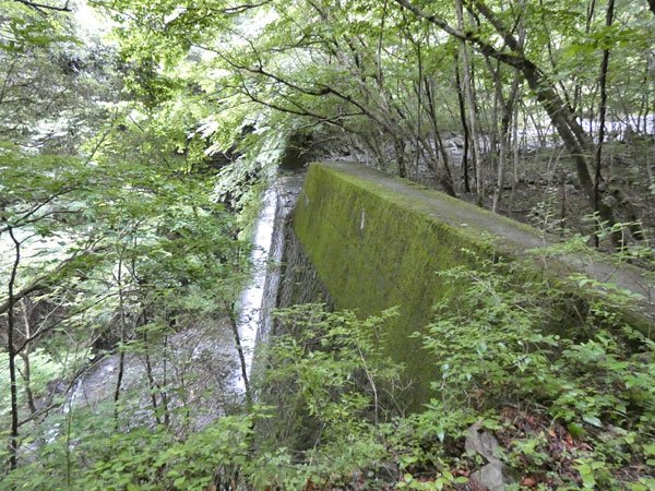 丹沢登山：丹沢緑の回廊から二俣へ向かう