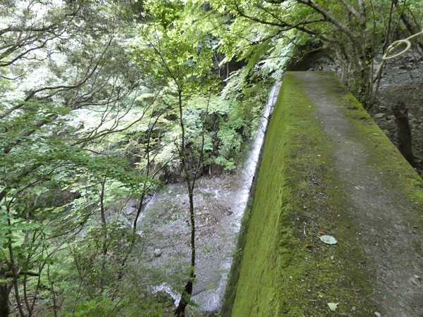 丹沢登山：丹沢緑の回廊から二俣へ向かう