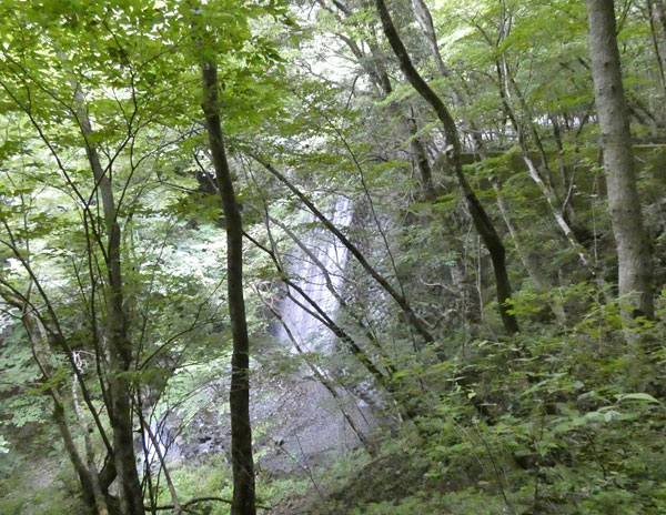 丹沢登山：丹沢緑の回廊から二俣へ向かう