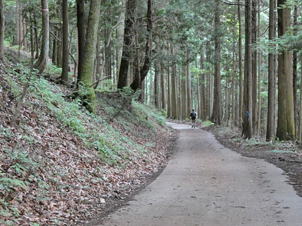 丹沢登山：二俣から大倉へ向かう