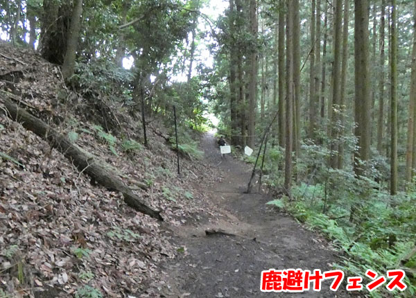 丹沢登山：大倉から大倉バス停へ向かう