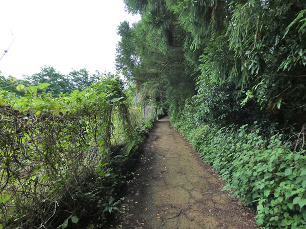 丹沢登山：大倉から大倉バス停へ向かう