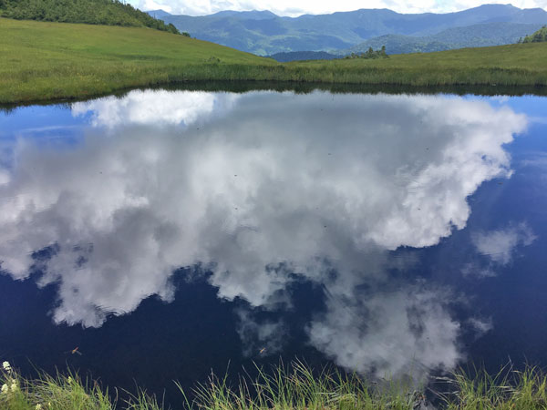 燧ケ岳登山・熊沢田代の池塘に映る白い雲