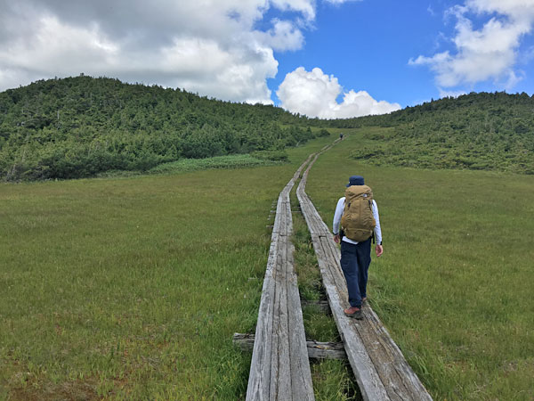 燧ケ岳登山・熊沢田代から広沢田代へ向かう