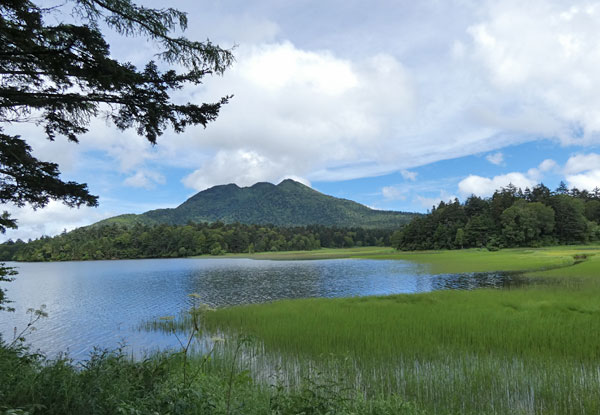 尾瀬沼と燧ケ岳