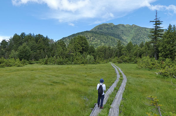 燧ケ岳と湿原と木道