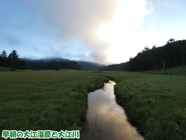 燧ケ岳登山・早朝の大江湿原と大江川