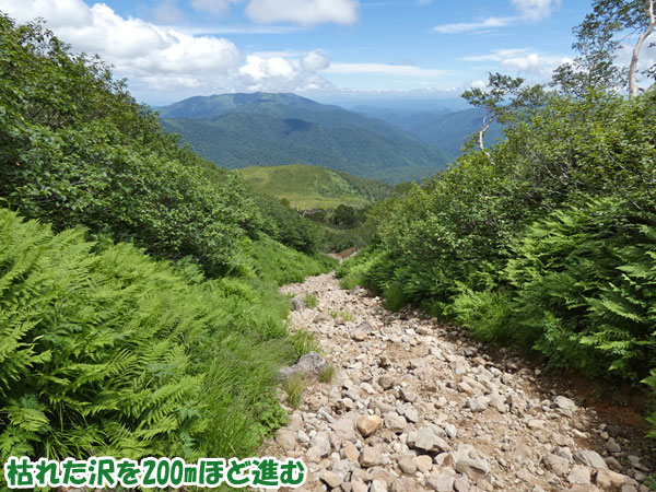 燧ケ岳登山・枯れた沢を200mほど進む