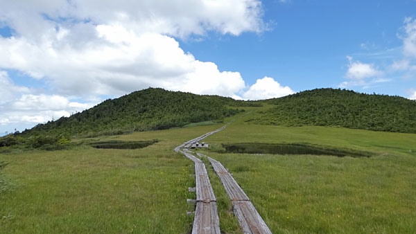 燧ケ岳登山・熊沢田代に到着