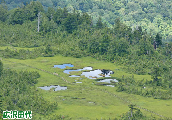 燧ケ岳登山・広沢田代が見えた