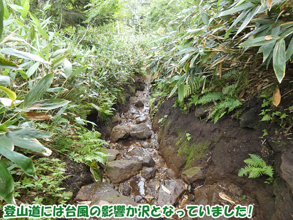 燧ケ岳登山・登山道は沢となっていた