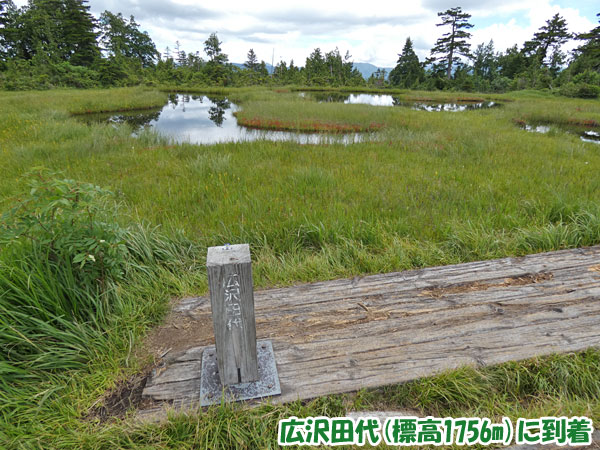 燧ケ岳登山・広沢田代に到着