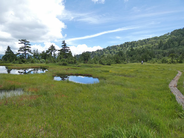 燧ケ岳登山・広沢田代に到着