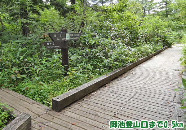 燧ケ岳登山・御池登山口まで0.5km