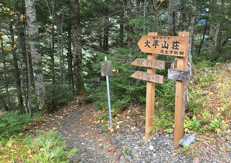 大平山荘と藪沢新道への分岐