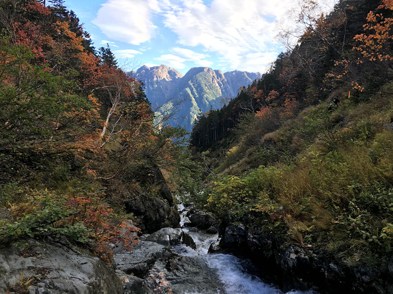 藪沢新道・甲斐駒ヶ岳