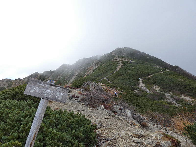 小仙丈ヶ岳尾根の八合目