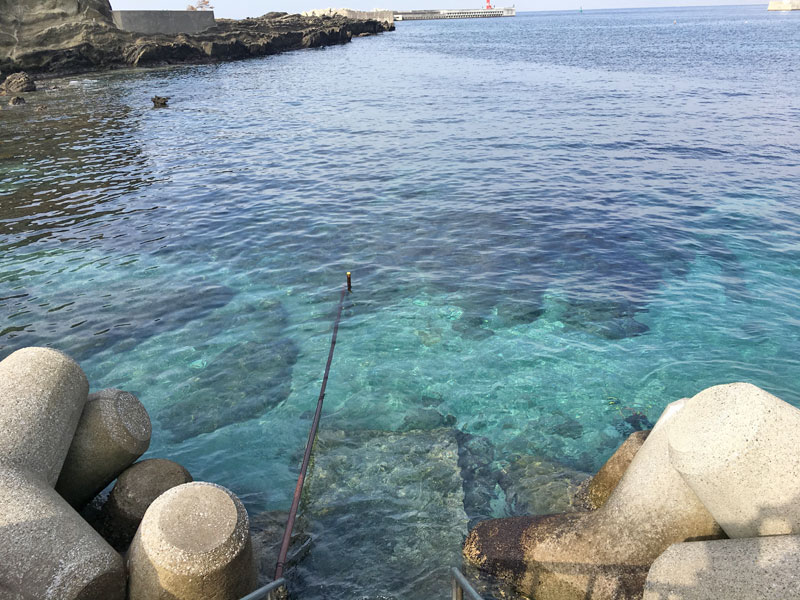 海の水の透明度に驚く