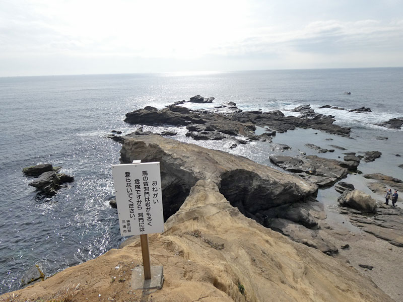 馬の背洞門・城ヶ島