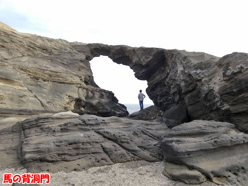 馬の背洞門・城ヶ島