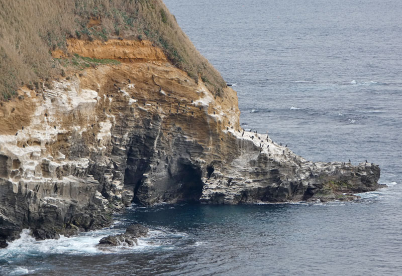 ウミウ展望台・城ヶ島ハイキングコース