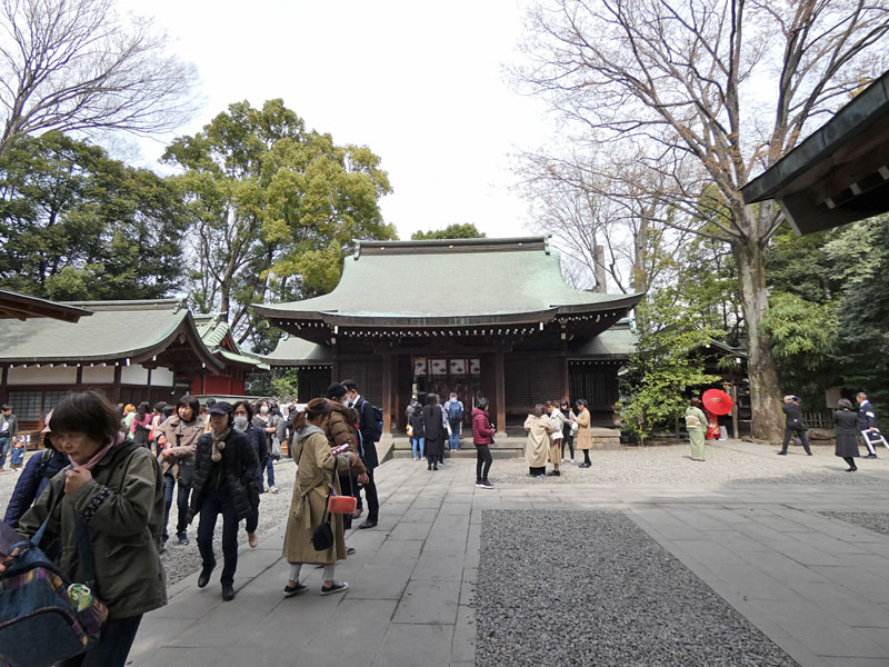 川越氷川神社境内