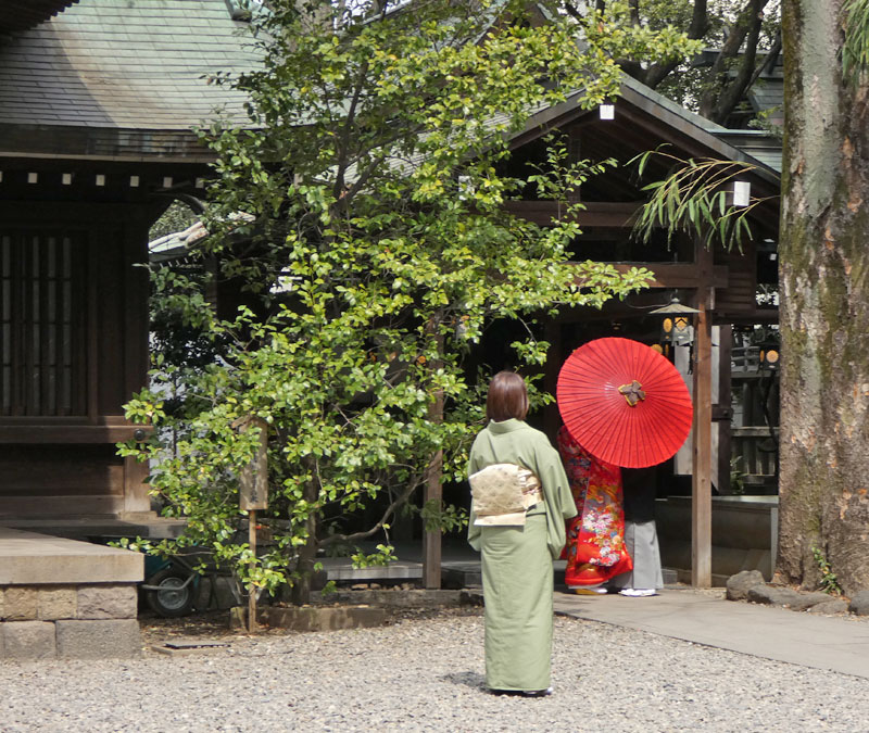 川越氷川神社境内で結婚式が行われていた？